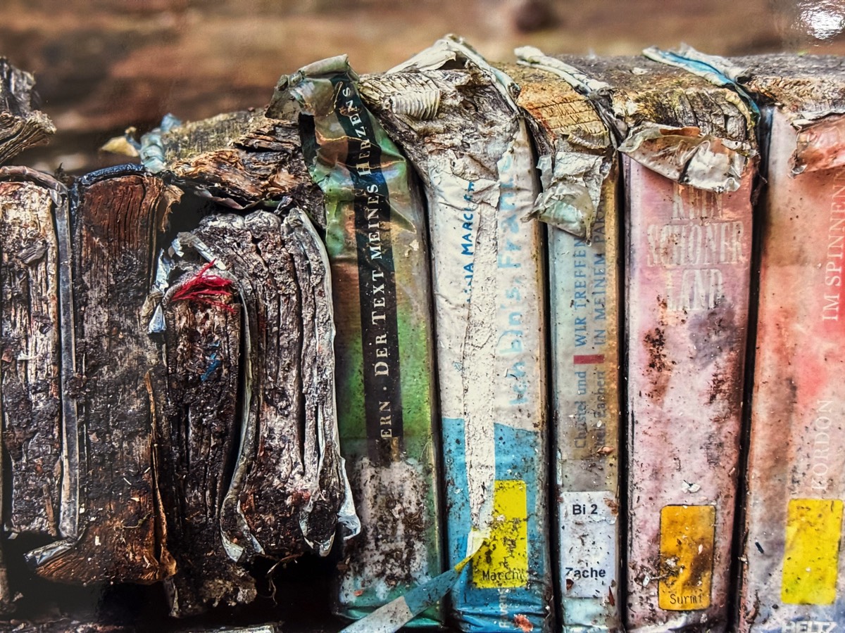 Stacks Image 7948